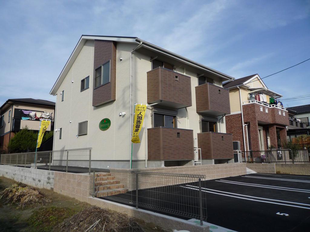 カモミール