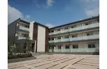 もちの木