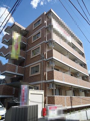 ミルフィーユ・ワイ