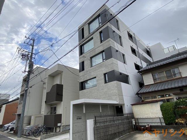 COZY菊井