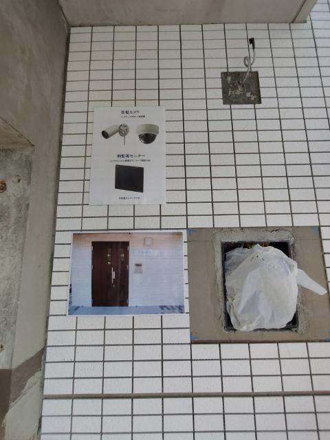 PISSENLIT II