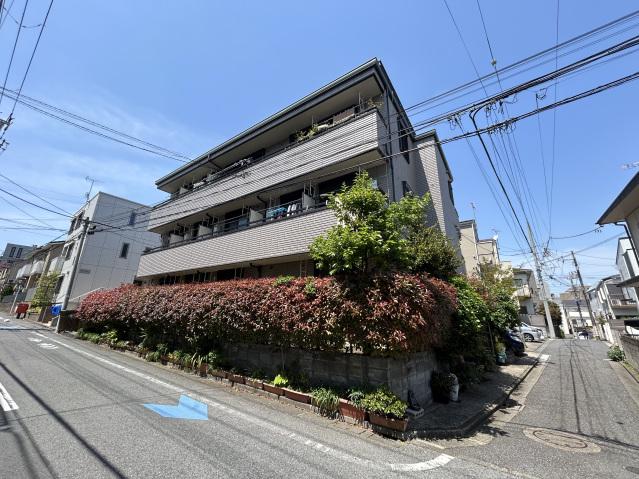 グレースパピヨン