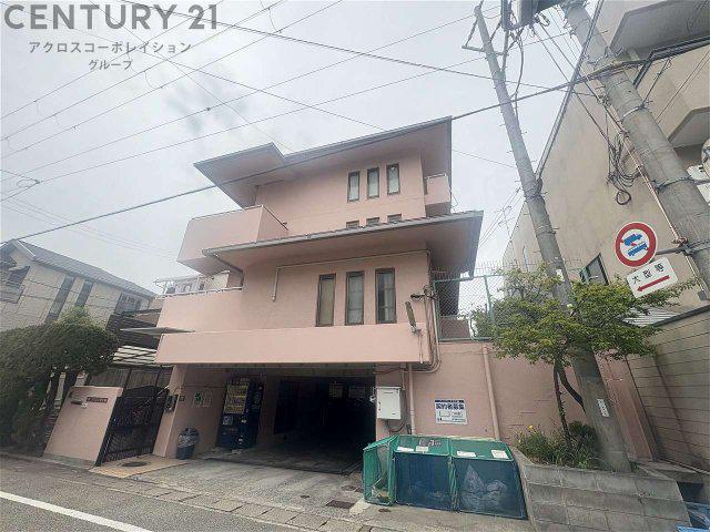 パンプランテ甲子園