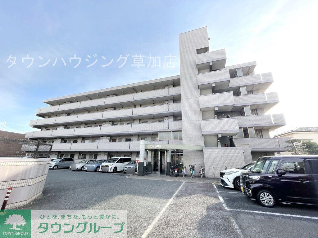 ピエール草加