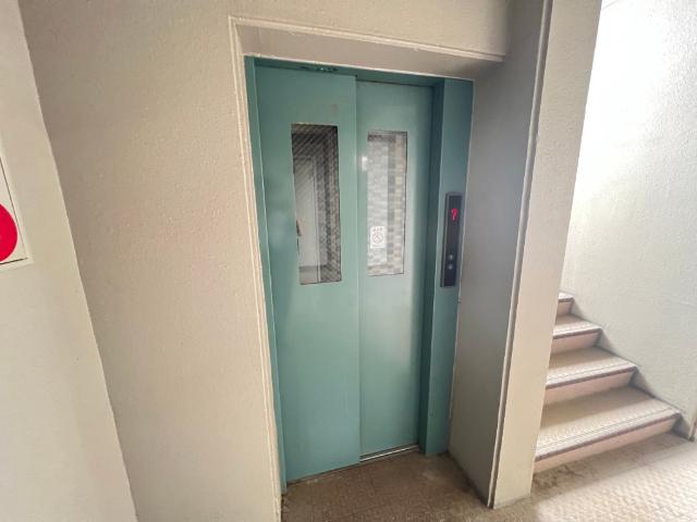 FOUR SEASONS