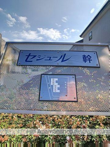 セジュール幹