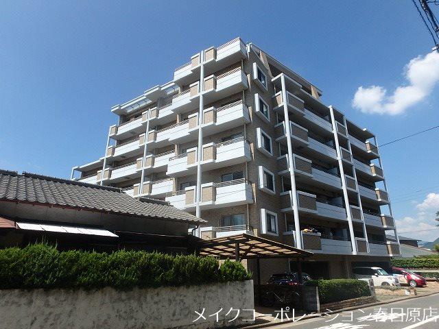 フィオーレミズキ