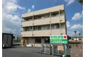 グランドコスモス