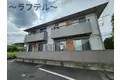 ヒラソールマルセイIII