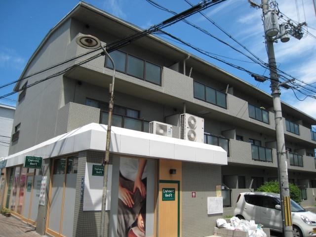 ビーハイヴ