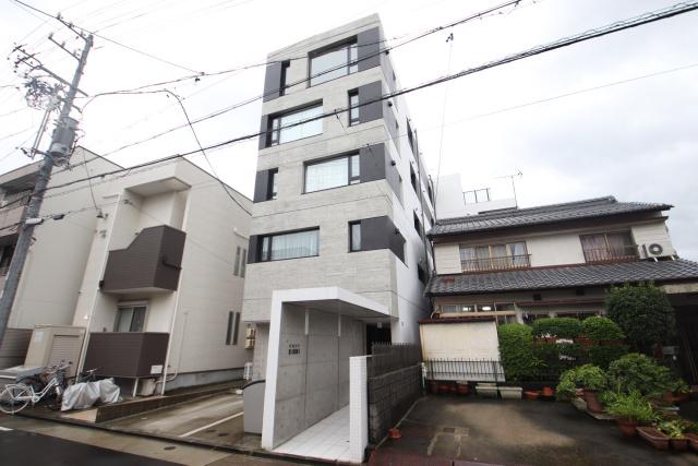 COZY菊井