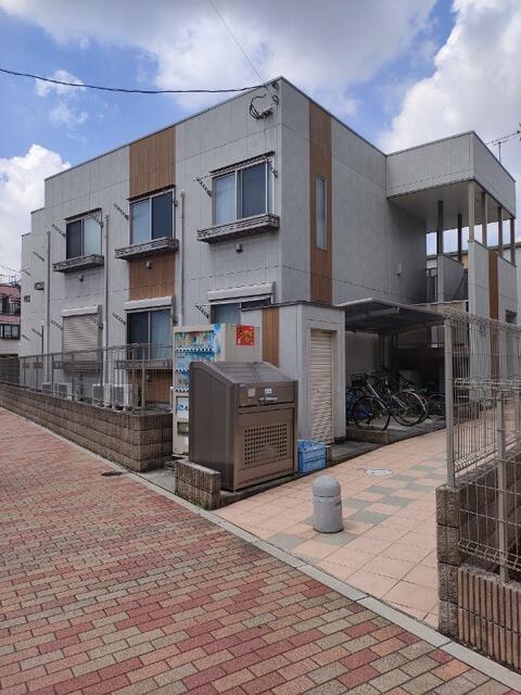 サンフラワー