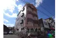 グッピーハイツ