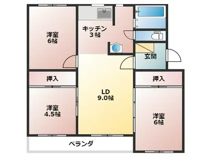 寿ハイツ新生(3LDK/4階)の間取り写真