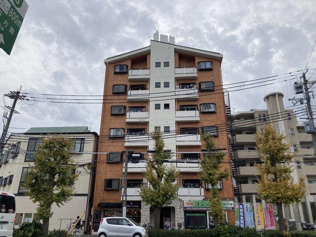 カサパロマ水木