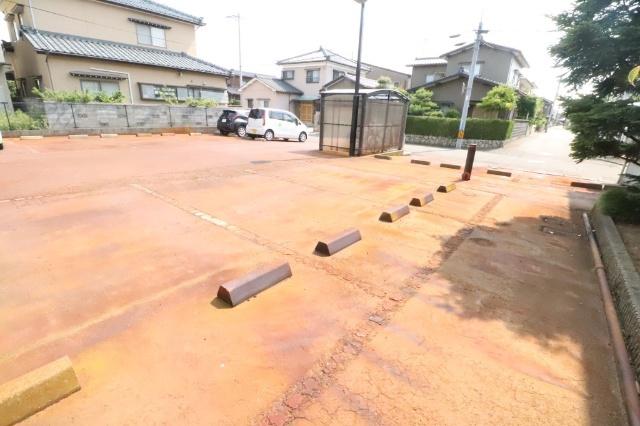 サンセベリアA