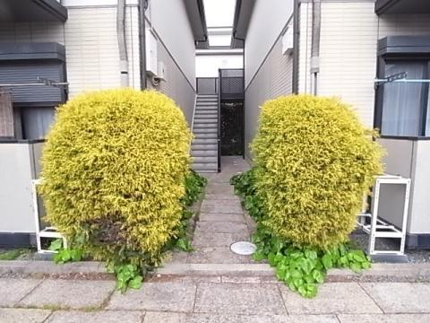 クオーレ宝塚