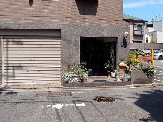 シトラス館
