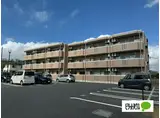 ヒルズ知手