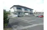 エバーグリーン