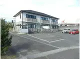 エバーグリーン