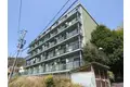 グリーンコート