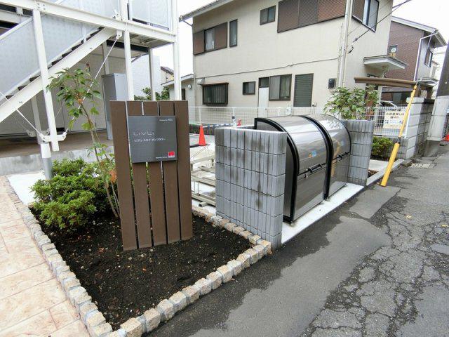 リブリスカイサンフラワー