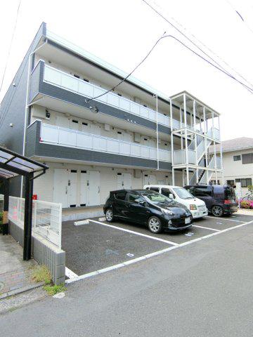 リブリスカイサンフラワー