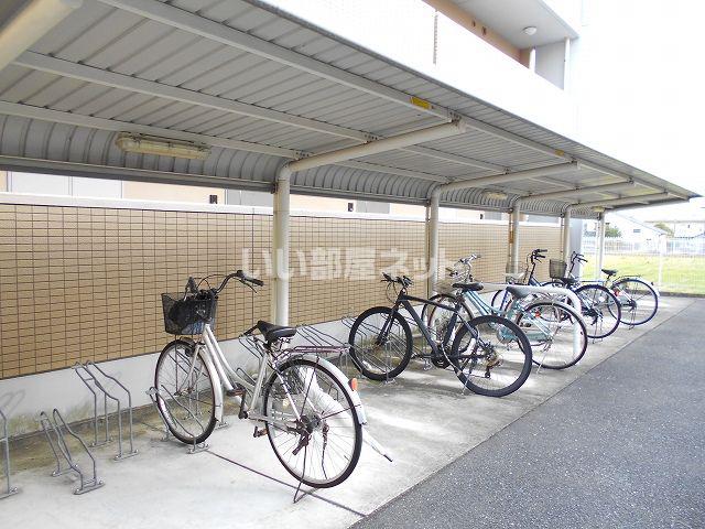 ヴェルドミール