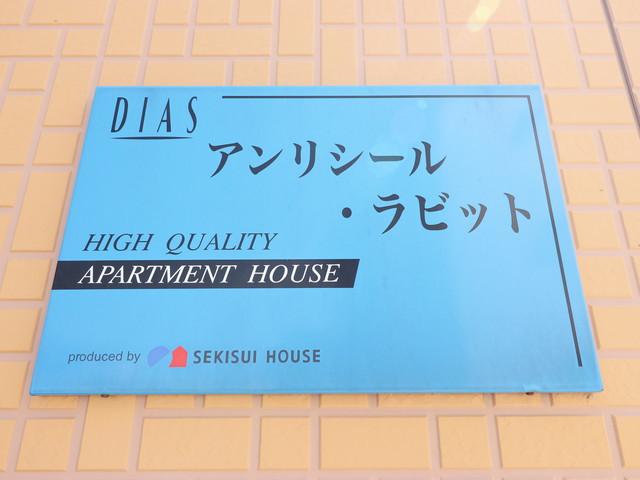 アンリシールラビット