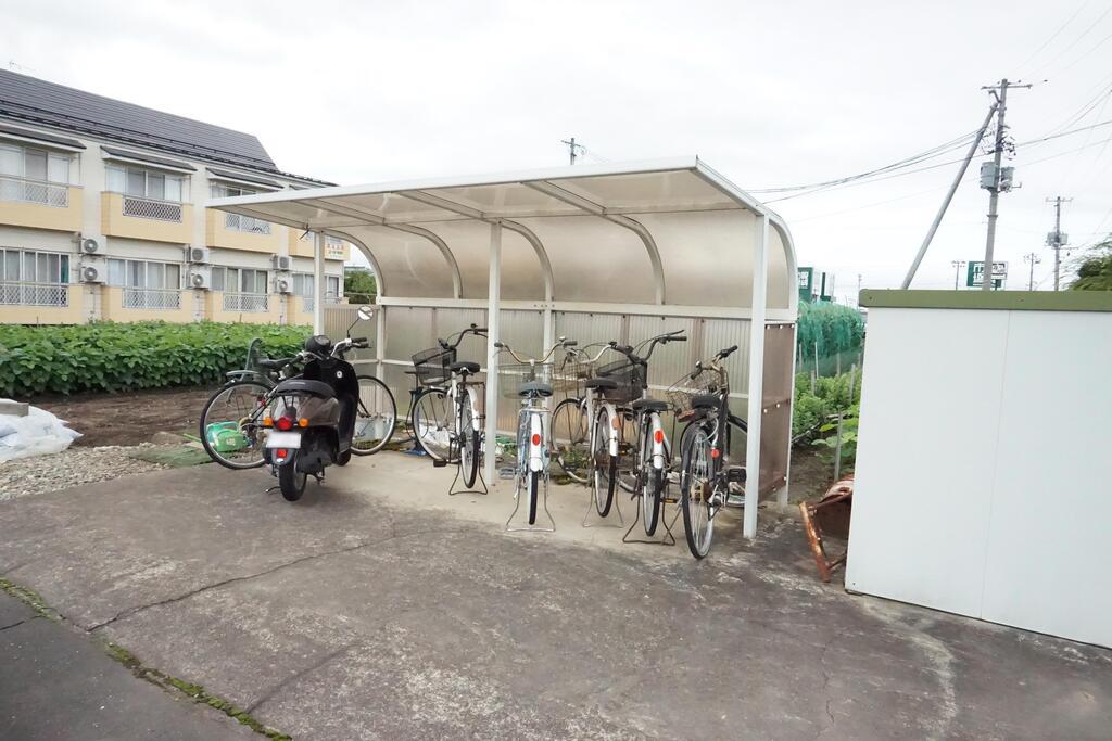バイオレットフィズ
