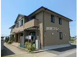 フラフィールド
