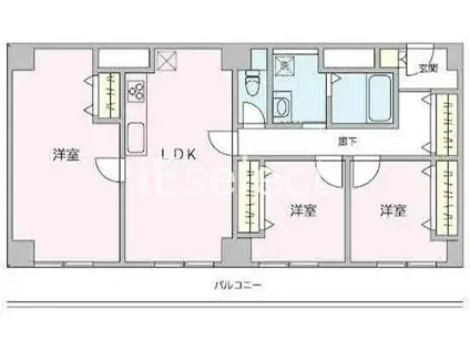 フェリス辰巳台(3LDK/2階)の間取り写真