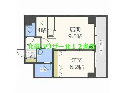 レジディア札幌駅ノース(1LDK/5階)の間取り写真