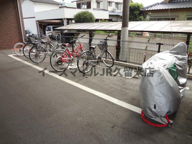 アーニスト国分