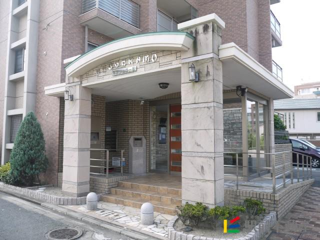 ネオジェラーモ