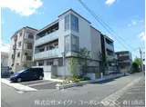 SHA MAISON M. O下大利