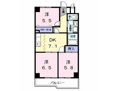 ネクステ-ジ・あらこ(3DK/2階)の間取り写真