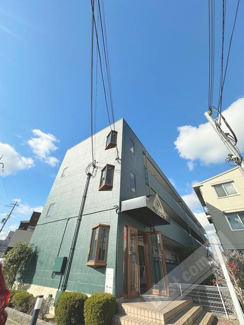 ソルジェンテ金剛