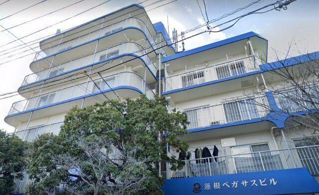 蓮根ペガサスビル