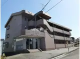 エテルノジェンテ