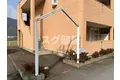 サンフラワー
