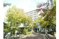 ファミールハイツ鳳サウスフォレストⅡ番館