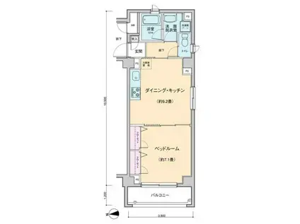 プロッシモ新宿(1LDK/5階)の間取り写真