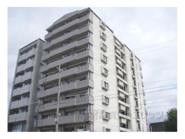 ミドレスト唐橋504