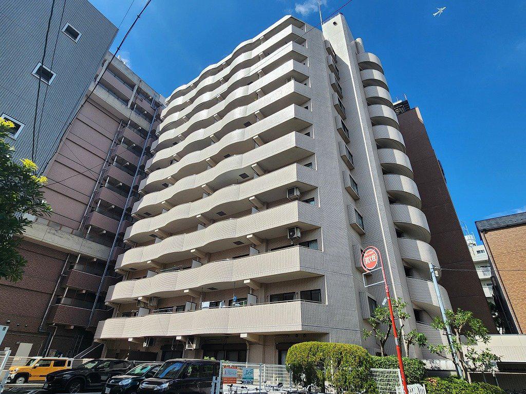 レピドール福田Ⅱ