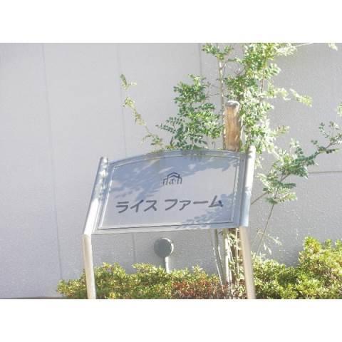 ライスファーム