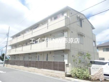 ベイリーフ