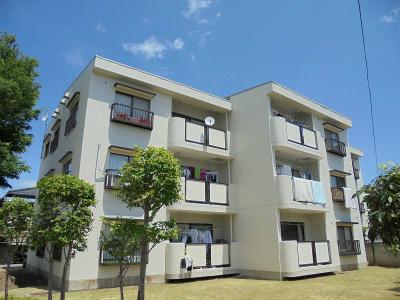 OWL HOUSE(3LDK/3階)