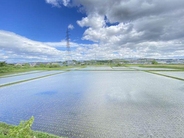 シャーメゾン前田